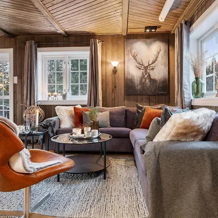 Awesome In With Sauna *